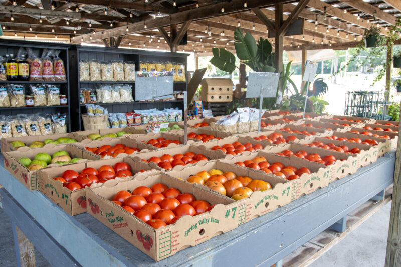 Station Road Farm West Chester Ohio